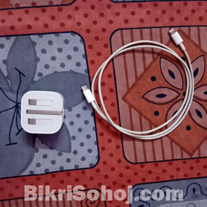 I phone's adaptor and cable